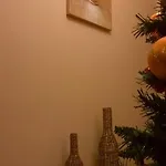 Camera Tip Economic Mozart